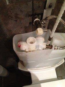 Fixing a leaking toilet in Newport                                       